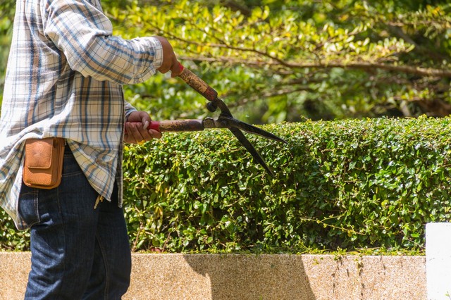 Garden Maintenance North Watford, WD24