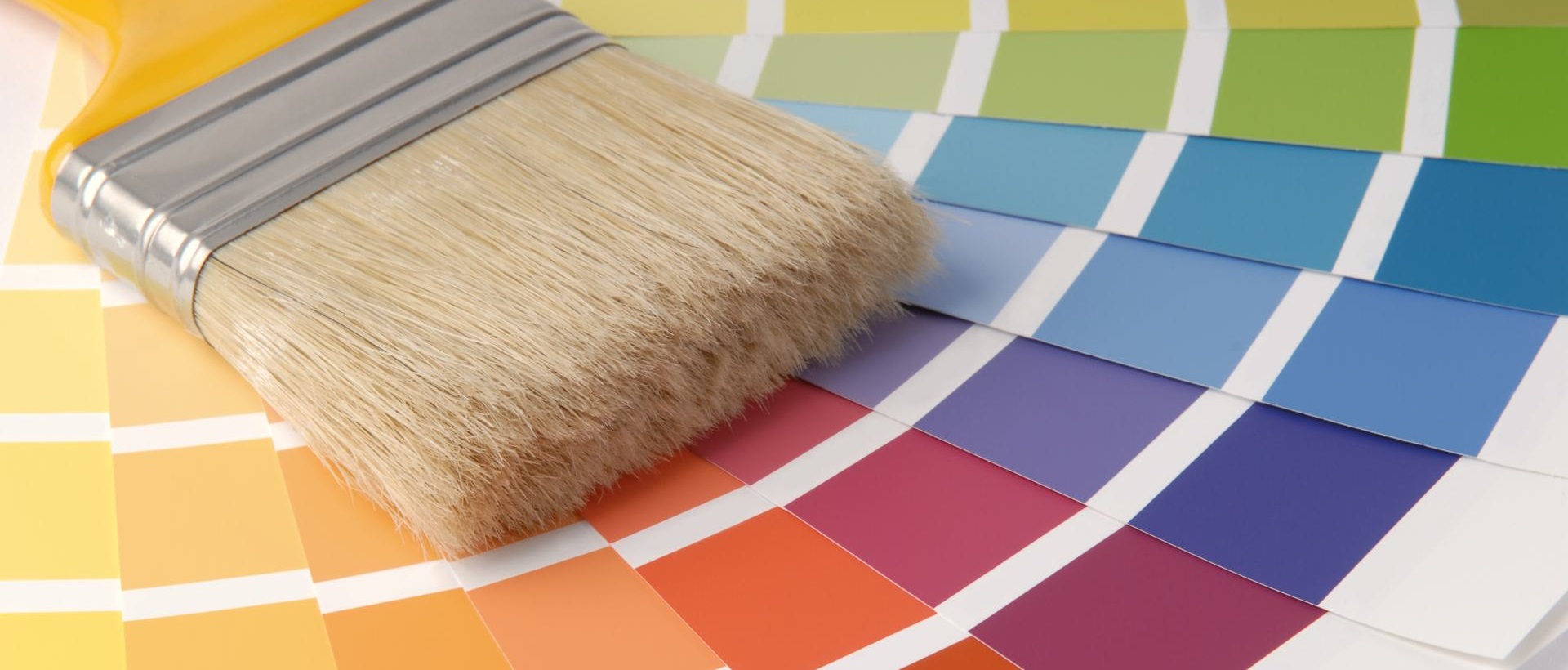 Painter WD24